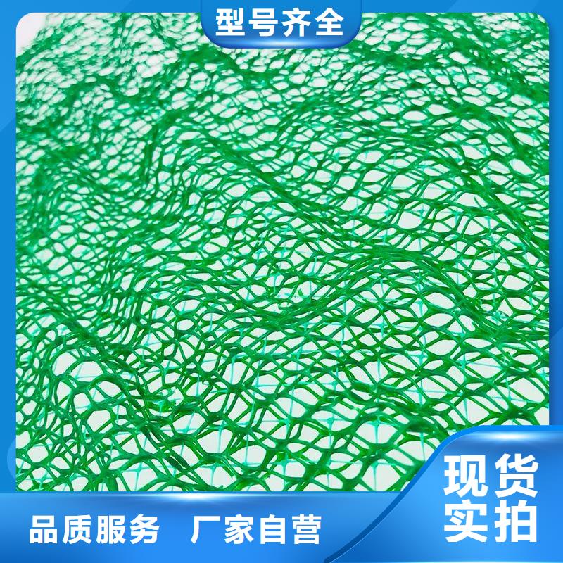三维植被网【铜止水生产厂家】一站式供应