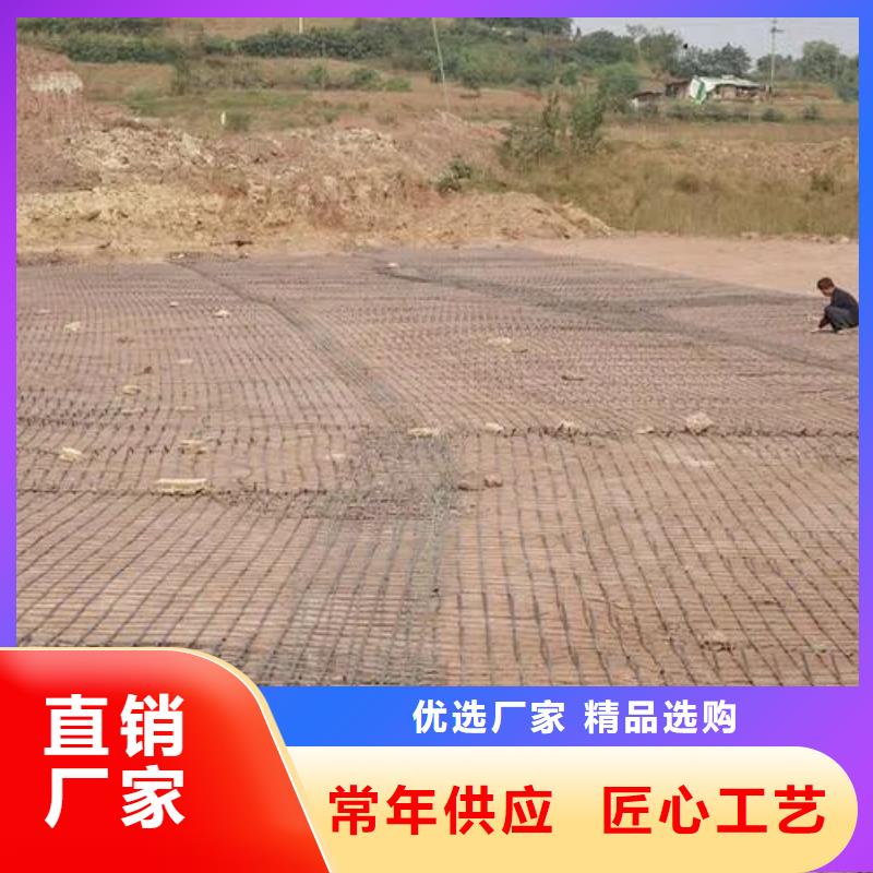 钢塑格栅供应商电话