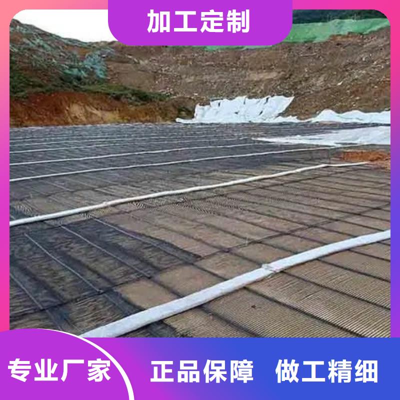 钢塑土工格栅价格公道厂家
