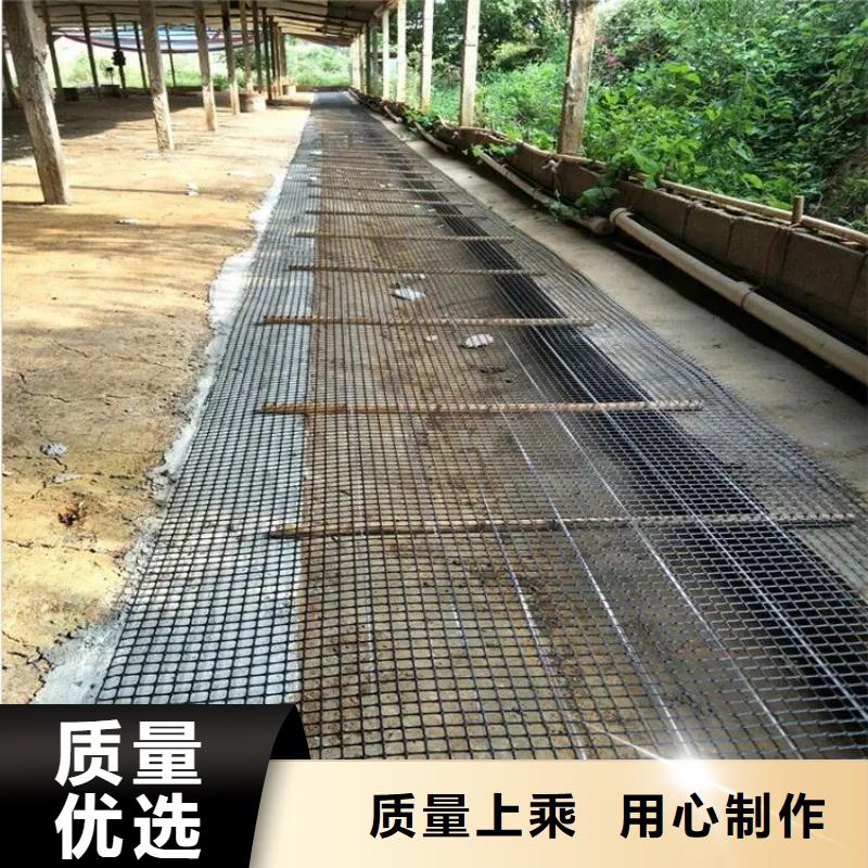 钢塑土工格栅价格公道厂家