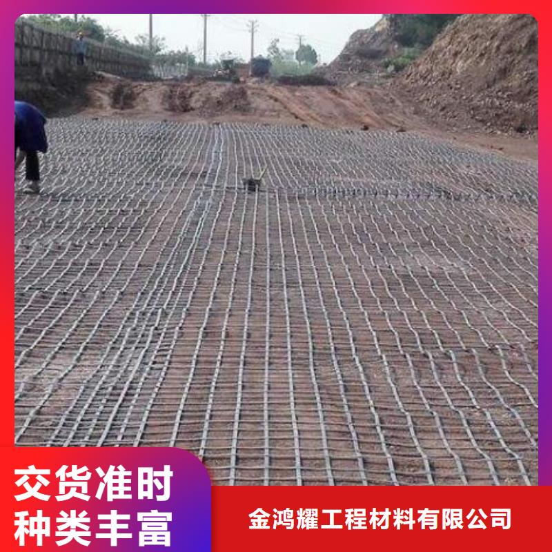 金鸿耀【 土工格栅-聚丙烯纤维生产厂家厂家实力雄厚】-通金宝
