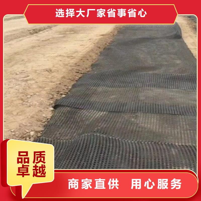 钢塑土工格栅型号全电话