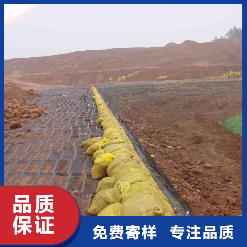 土工格栅规格型号生产经验丰富