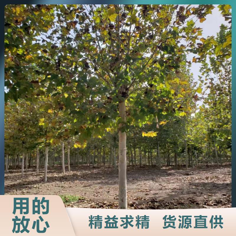 法桐一站式采购方便省心