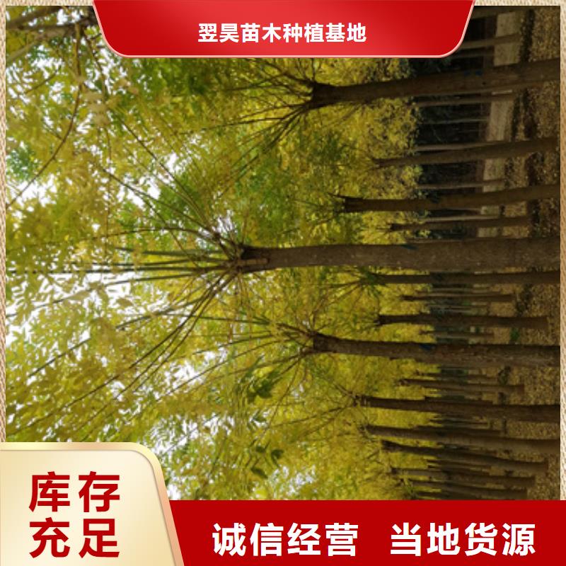 法桐优质工艺