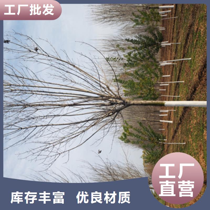 采购法桐必看-售后保证
