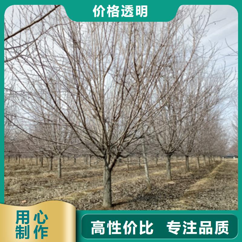 法桐来图加工定制