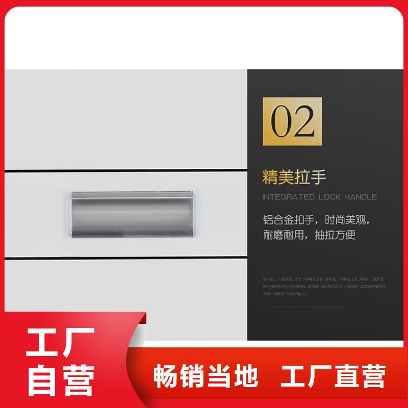 档案柜厂家-视频-西藏昌都市振兴档案柜厂家可服务区域边坝|察雅|阿里|林芝|山南|那曲|日喀则|拉萨等