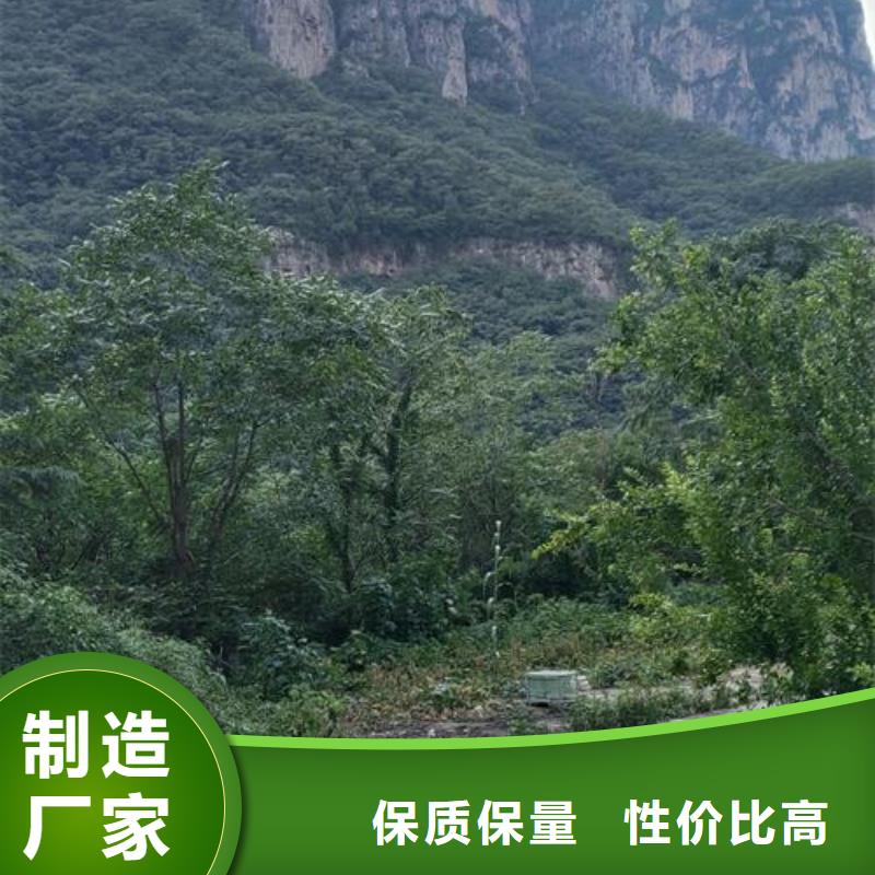 二次构造柱泵_小型混凝土输送泵当日价格