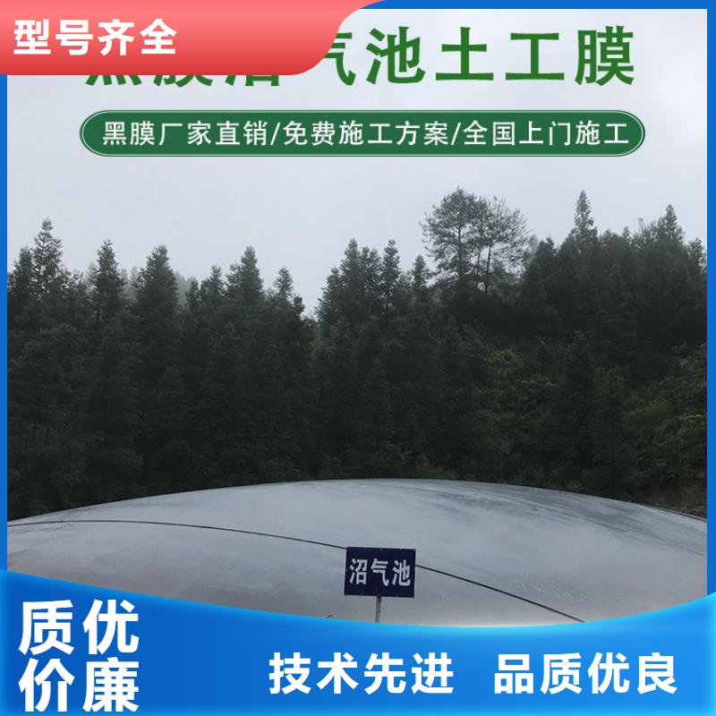 土工膜三维植被网源头厂家来图定制