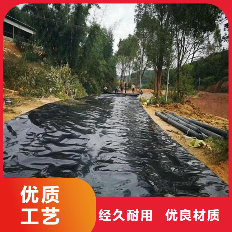 土工膜三维植被网源头厂家来图定制