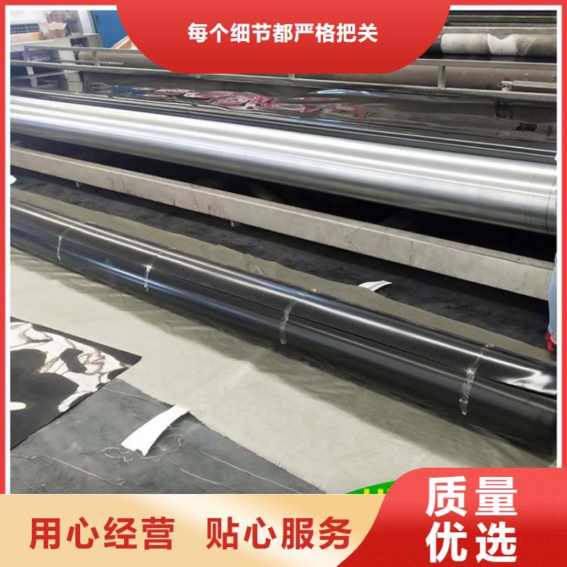 土工膜三维植被网源头厂家来图定制