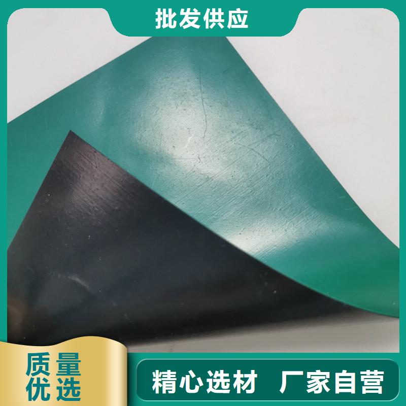 土工膜双向土工格栅支持定制贴心售后