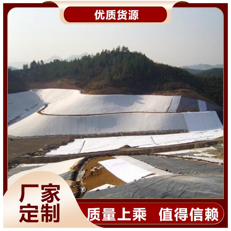 土工膜玻纤格栅品质服务