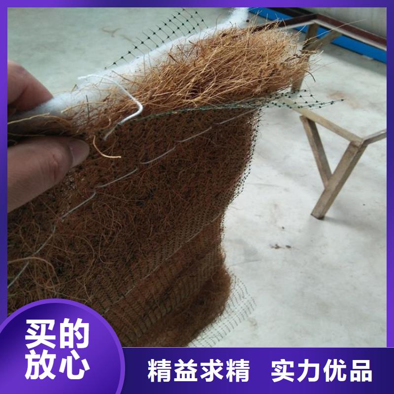 椰丝毯土工布品种全