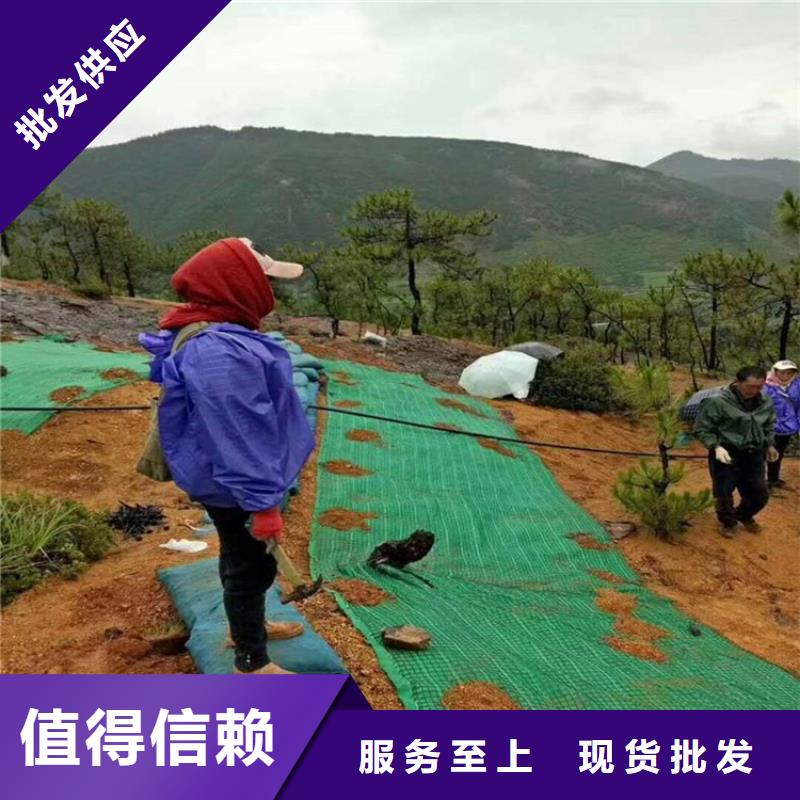 椰丝毯防水板厂家工艺先进