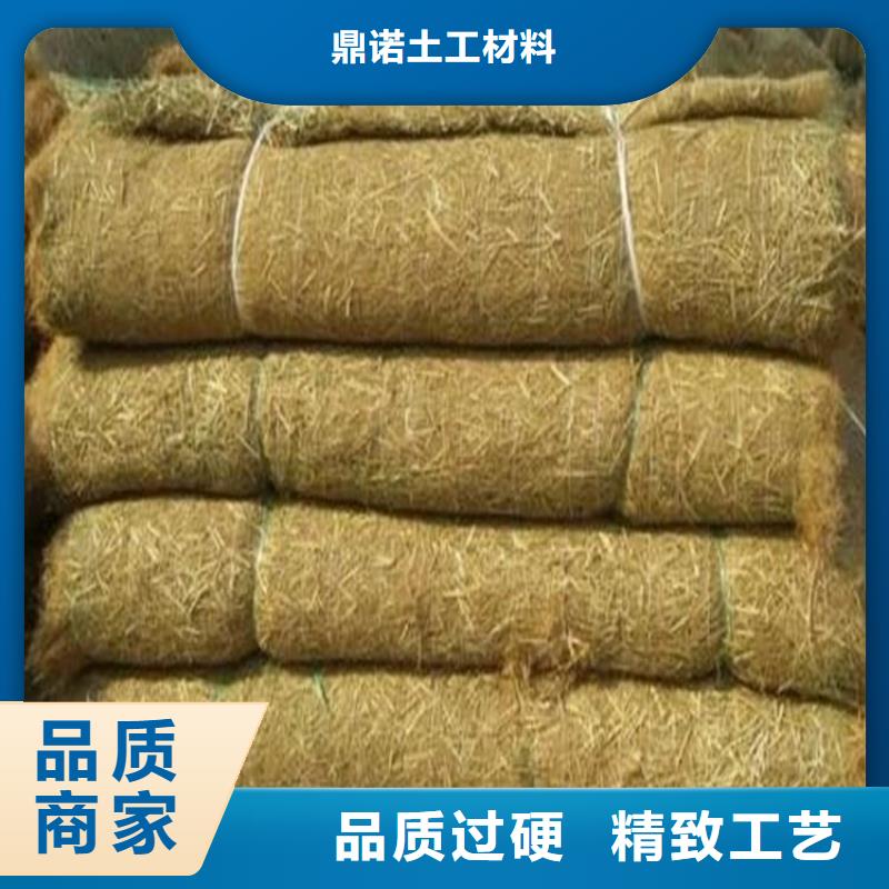 植物生态防护毯口碑好