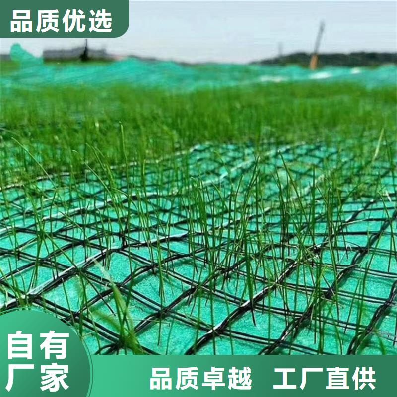 椰丝毯防水板厂家工艺先进