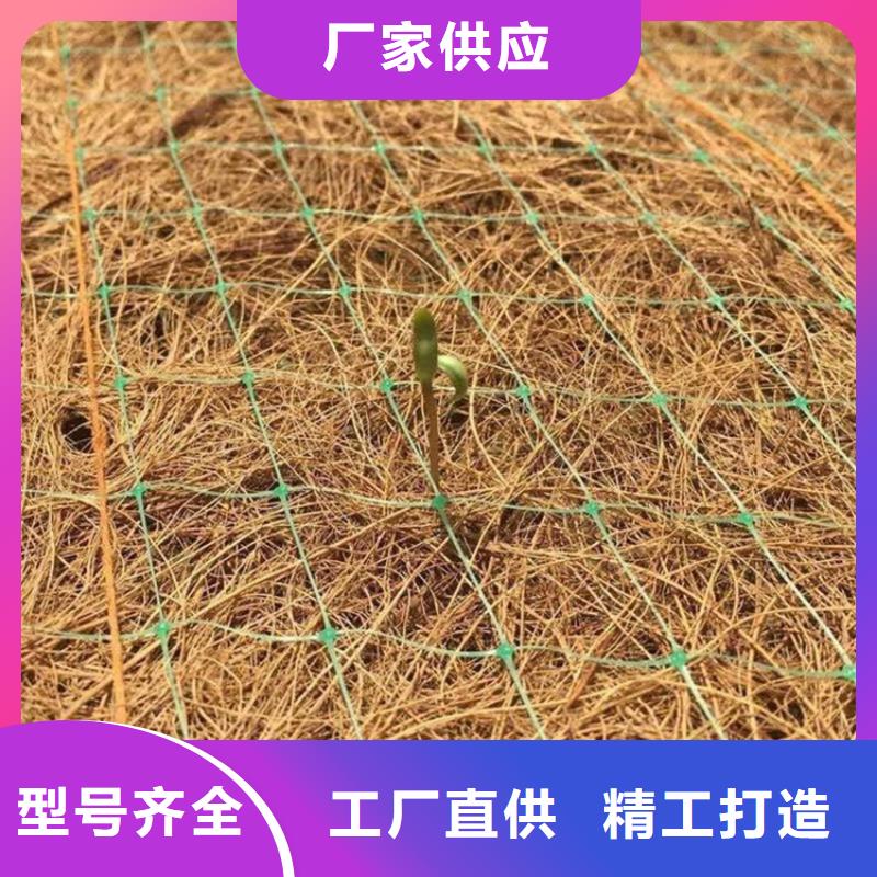 椰丝毯防水板厂家工艺先进