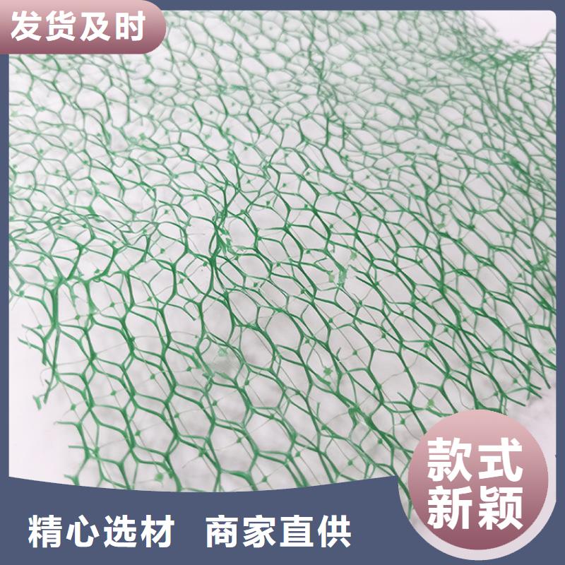 【 三维植被网,土工布销售的是诚信】鼎诺膨润土防水毯