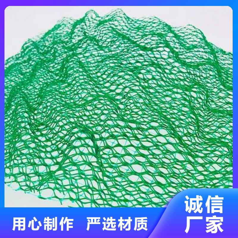【 三维植被网,土工布销售的是诚信】鼎诺膨润土防水毯