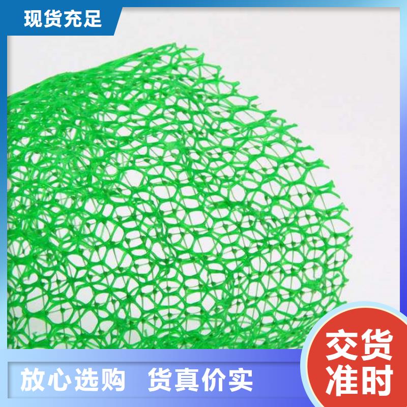 【 三维植被网,土工布销售的是诚信】鼎诺膨润土防水毯