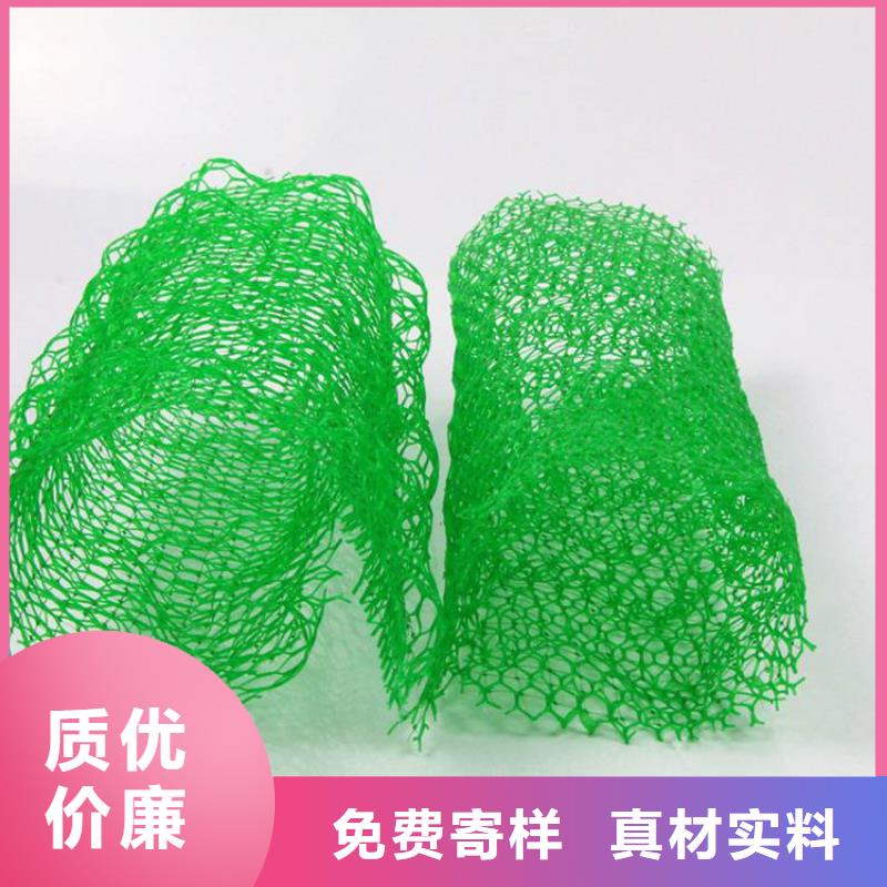 三维植被网防水毯敢与同行比质量