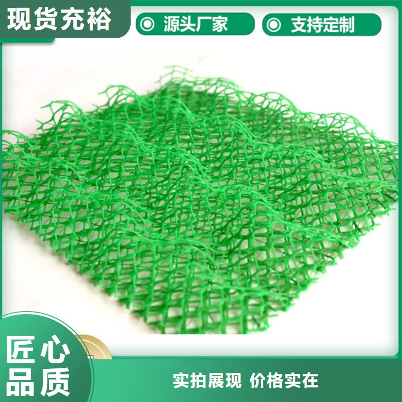 【 三维植被网,土工布销售的是诚信】鼎诺膨润土防水毯