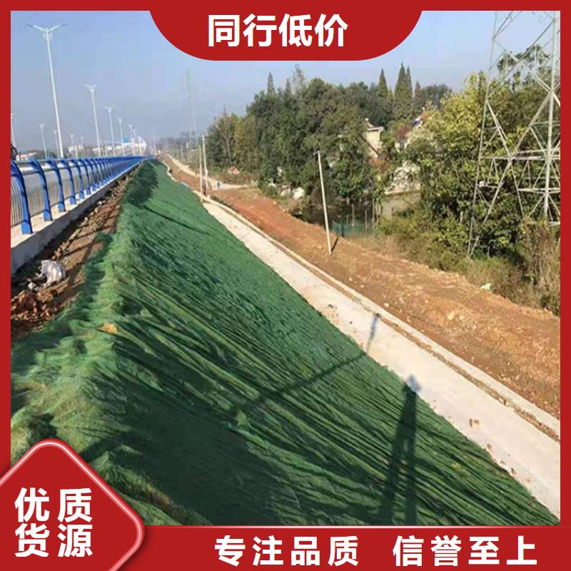 三维植被网,土工格栅产品细节参数