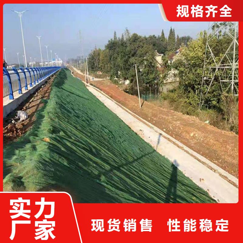 三维植被网防水毯敢与同行比质量