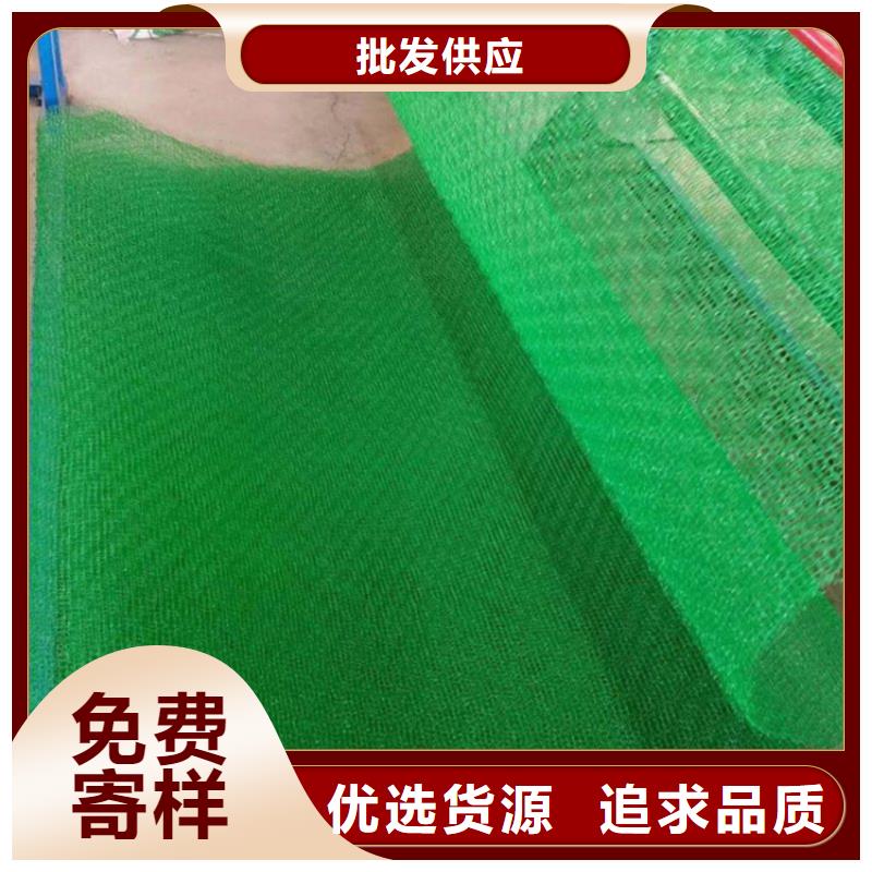 三维植被网硬式透水管源厂直销