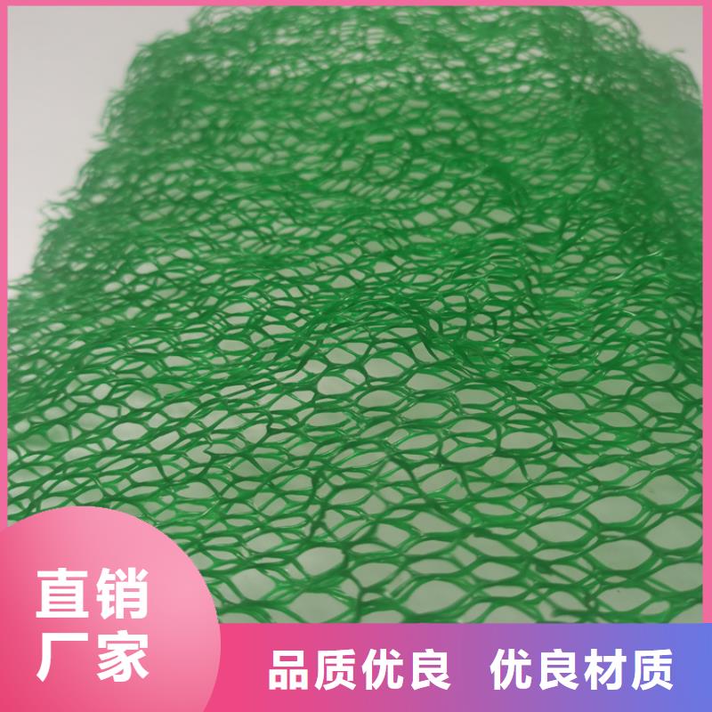 三维植被网防水毯敢与同行比质量
