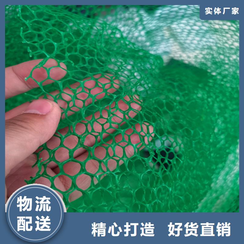 三维植被网防水毯敢与同行比质量