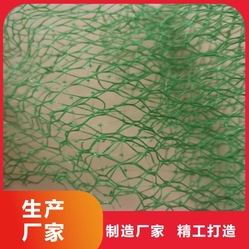 三维植被网防水毯敢与同行比质量