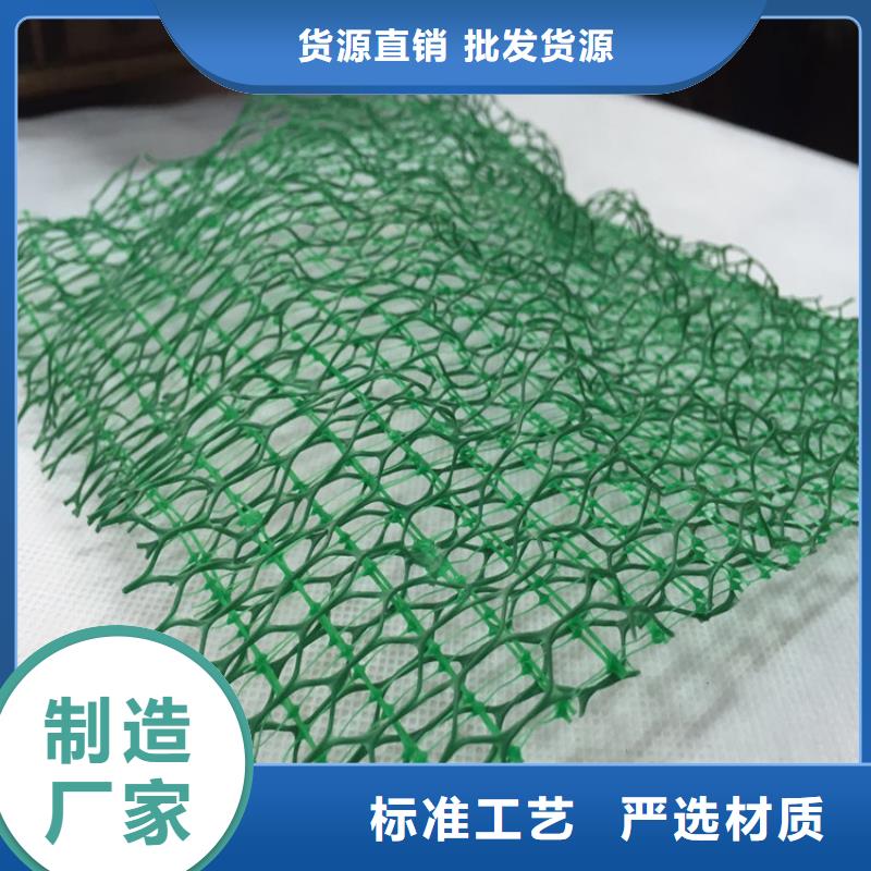 三维植被网防水毯敢与同行比质量