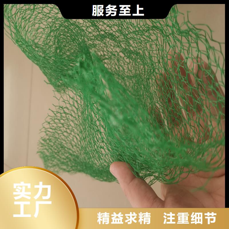 三维植被网防水毯敢与同行比质量