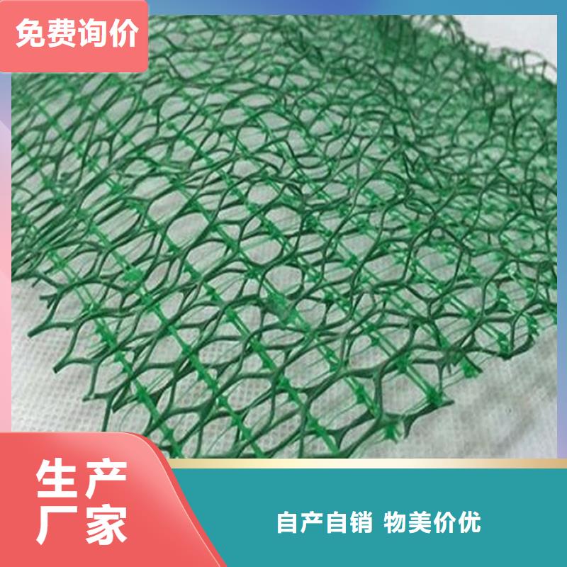 三维植被网防水毯敢与同行比质量