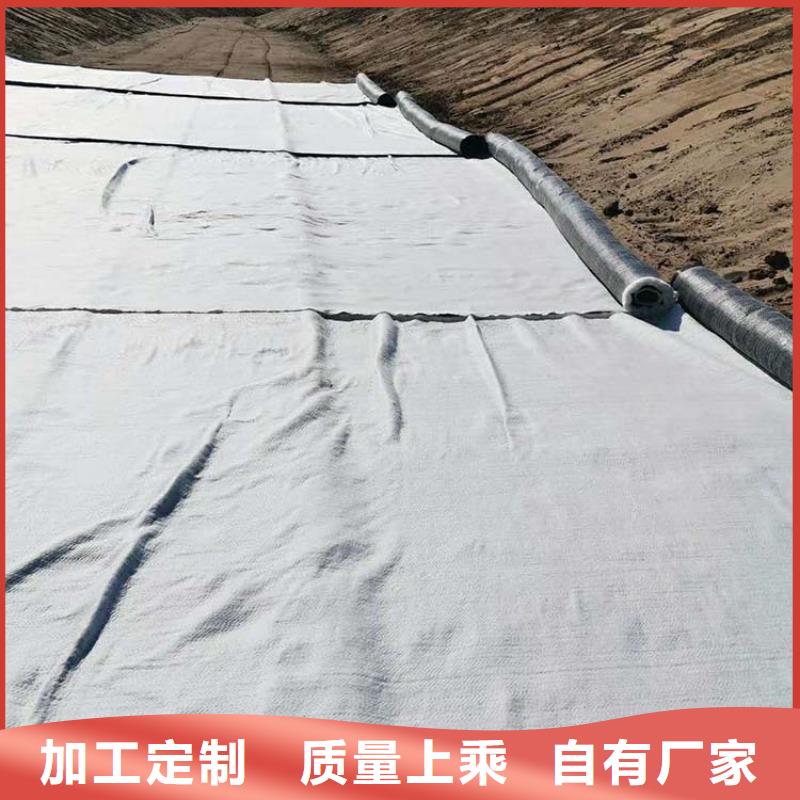 【膨润土防水毯,止水条热销产品】