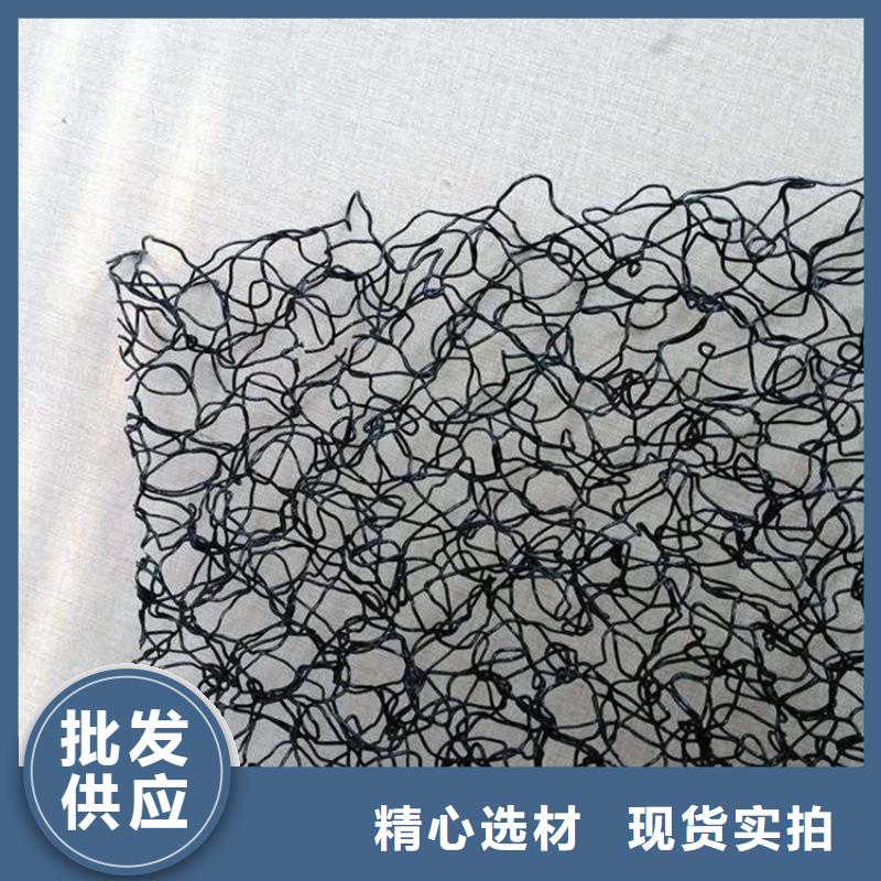 水土保护毯土工格栅定制批发