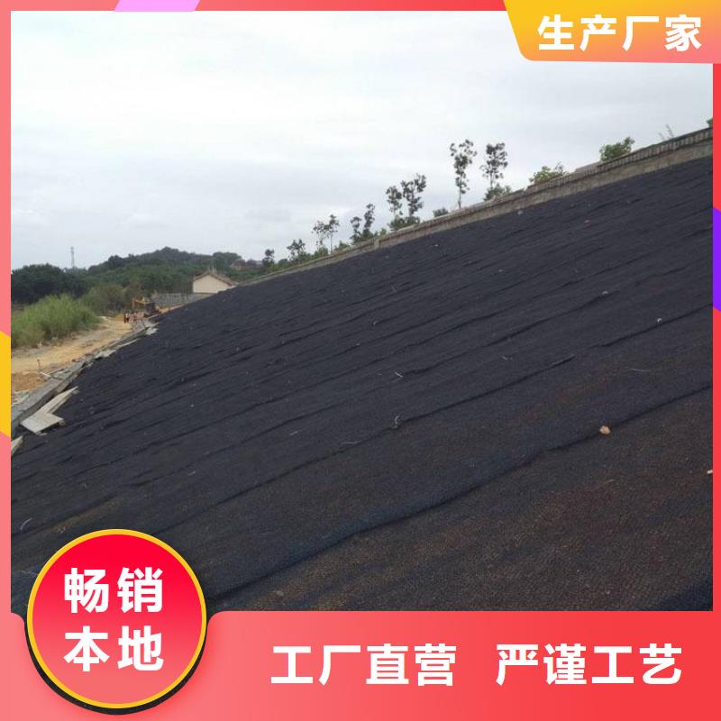 水土保护毯土工格栅定制批发