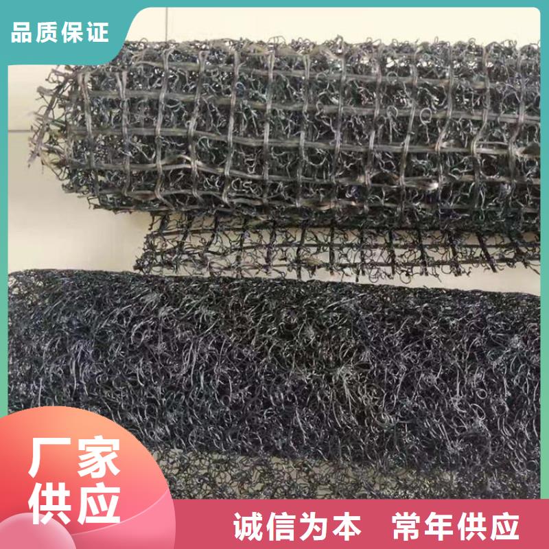 水土保护毯土工格栅定制批发