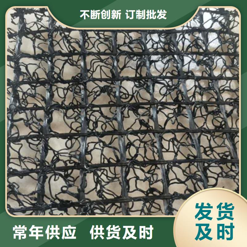 水土保护毯土工格栅定制批发