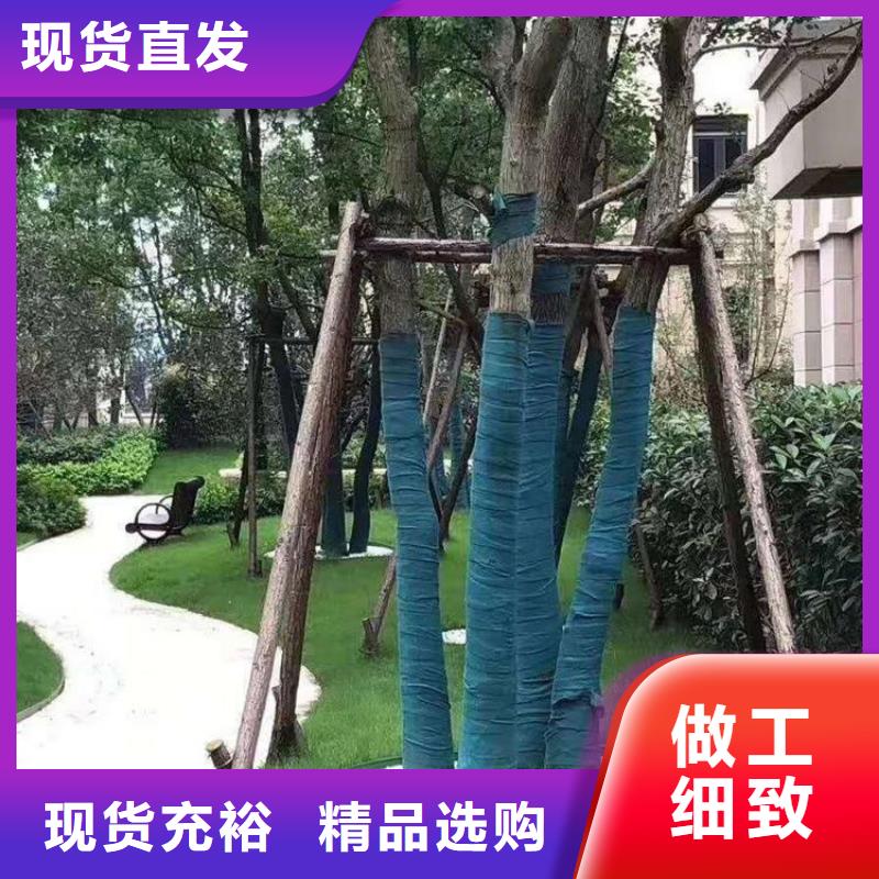 裹树布生态带品类齐全
