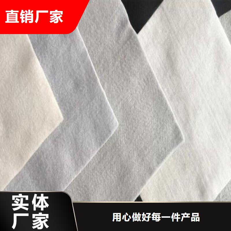 中齐膨润土防水毯土工布我们更专业通金宝