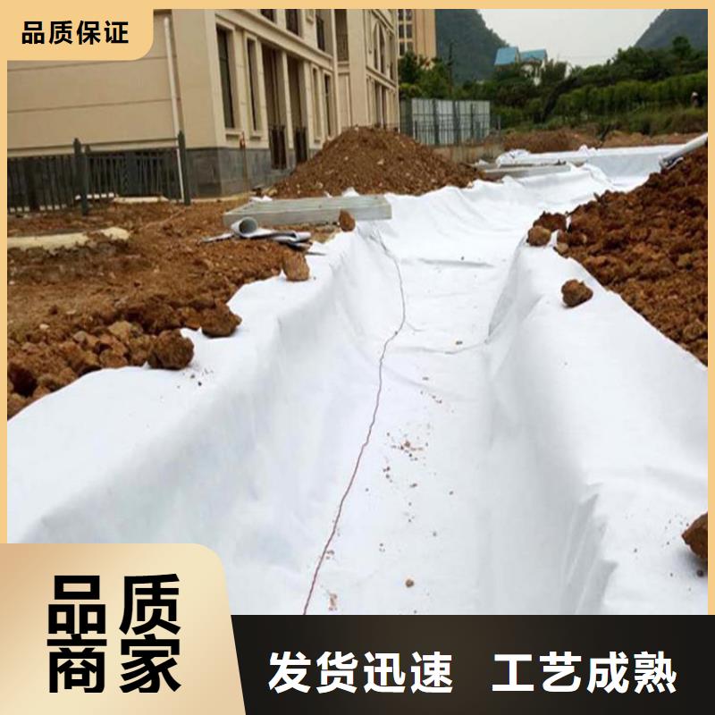 土工布土工膜品质服务诚信为本