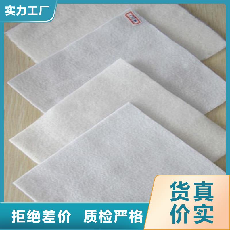 中齐膨润土防水毯土工布我们更专业通金宝