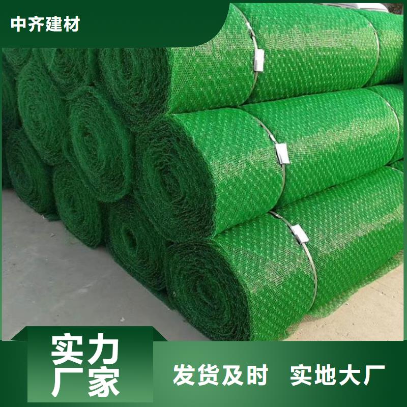 三维植被网聚酯玻纤布保障