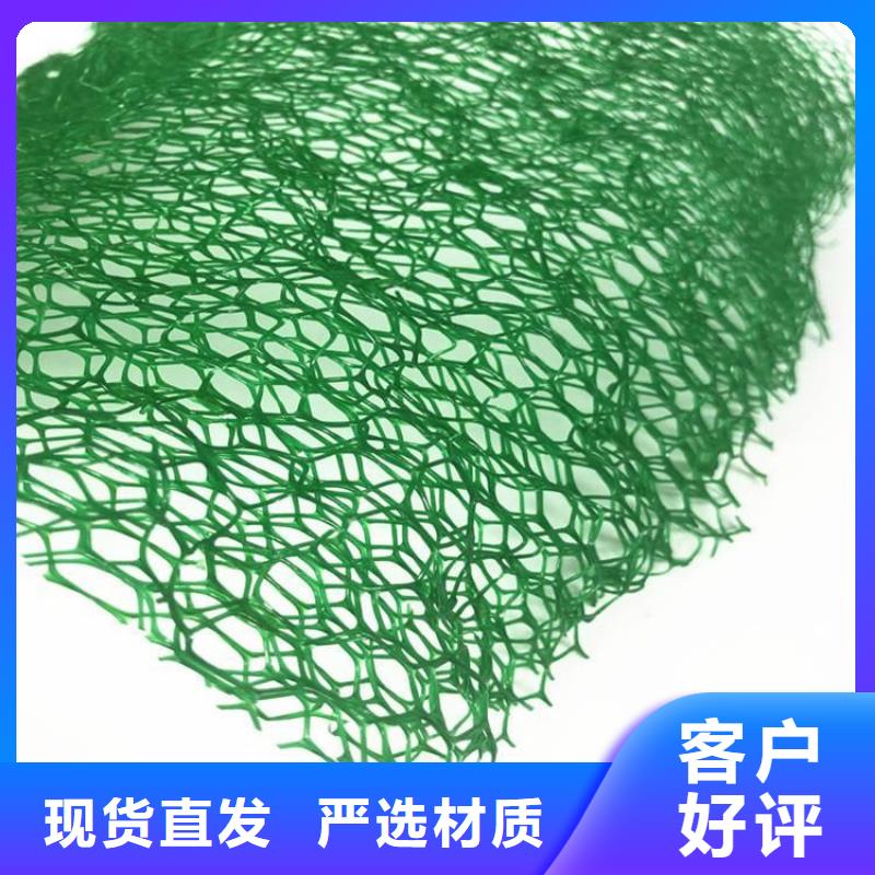 三维植被网聚酯玻纤布保障