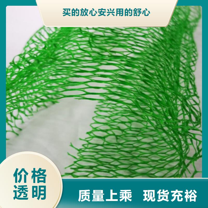 三维土工网垫-三维土工网垫