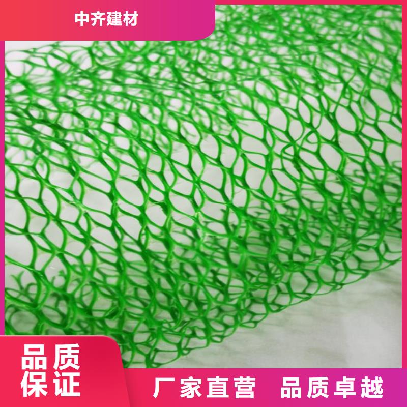 草皮环保三维护坡加筋网垫